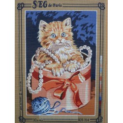 canevas 30x40 marque SEG DE PARIS le chat dans la boite dimension 30 centimètres par 40 centimètres 100 % coton