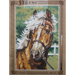 canevas 30X40 marque SEG PARIS thème  cheval dimension 30 centimètres par 40 centimètres 100 % coton