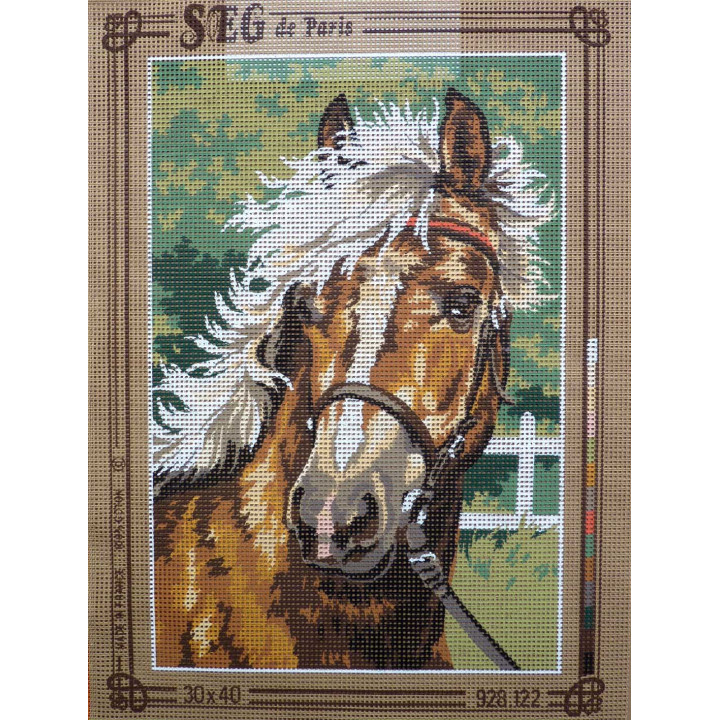 canevas 30X40 marque SEG PARIS thème  cheval dimension 30 centimètres par 40 centimètres 100 % coton