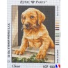 Canevas à broder 22 x 30 cm marque ROYAL PARIS thème CHIOT fabrication française