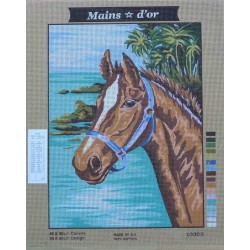 canevas 40x50 marque MAINS D'OR cheval dimension 40 centimètres par 50 centimètres 100 % coton