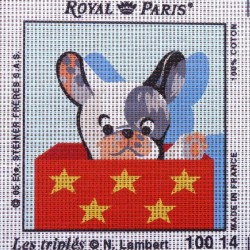 Canevas à broder ENFANT 15 x 15 cm marque ROYAL PARIS thème de N.Lambert LES TRIPLES fabrication française