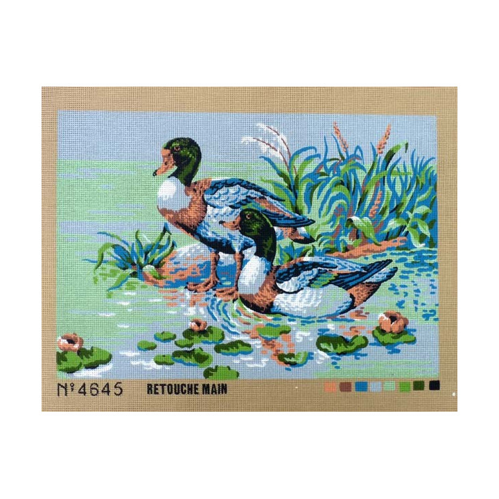 Canevas à broder 40 x 60 cm thème LES CANARDS les cols verts retouché main
