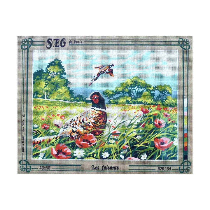 Canevas à broder 40 x 50 cm marque SEG de Paris Thème ANIMAUX les faisants fabrication française