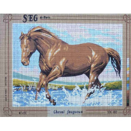 Canevas à broder 40 x 50 cm marque SEG de Paris Thème ANIMAUX cheval fougueux fabrication française