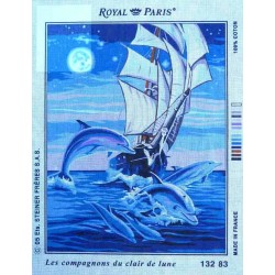 Canevas 45x60 marque ROYAL PARIS les compagnons du clair de lune dimension 45 centimètres par 60 centimètres 100 % coton