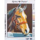 Canevas à broder 22 x 30 cm marque ROYAL PARIS thème CHEVAL