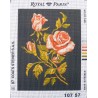 Canevas à broder 22 x 30 cm marque ROYAL PARIS thème FLEURS les roses