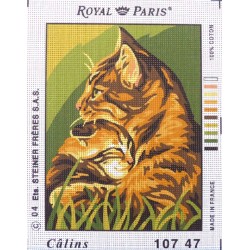Canevas à broder 22 x 30 cm marque ROYAL PARIS thème ANIMAUX calins