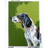 Canevas à broder 40 x 60 cm thème CHIEN DE CHASSE SETTER ANGLAIS