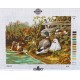 Canevas à broder 30 x 40 cm  marque DMC thème ANIMAUX les canards