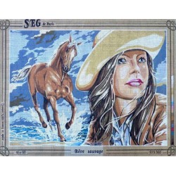 Canevas à broder 45 x 60 cm marque SEG de Paris thème CHEVAL rêve sauvage