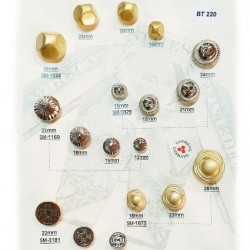 Plaque de 18 boutons couleur doré et argent diamètre 12 mm à 28 mm prix pour la plaque entière
