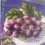 fruits au petit point DMC livre