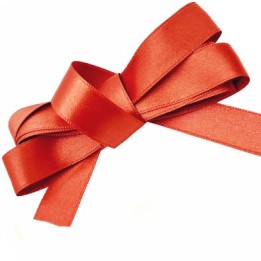 Le lot de 10 m de ruban satin couleur rouille orangé brillant lumineux double face haut de gamme magnifique très solide