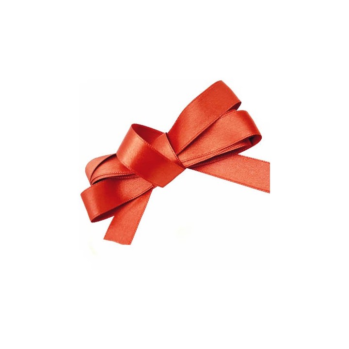 Le lot de 10 m de ruban satin couleur rouille orangé brillant lumineux double face haut de gamme magnifique très solide