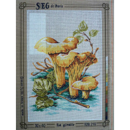 canevas 30x40 marque SEG DE PARIS thàme la girofle dimension 30 centimètres par 40 centimètres 100 % coton