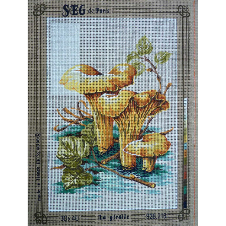 canevas 30x40 marque SEG DE PARIS thàme la girofle dimension 30 centimètres par 40 centimètres 100 % coton