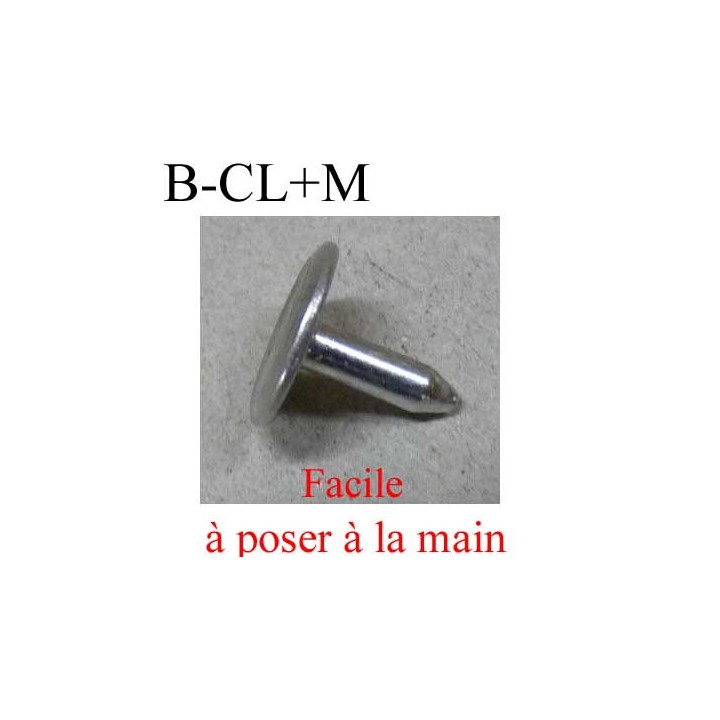 Bouton pour jeans 14 mm haut de gamme siglé Gentleman Farmer en métal diamètre 14 mm couleur acier avec le clou superbe