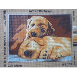 canevas 30X40 marque ROYAL PARIS thème les chiots dimension 30 centimètres par 40 centimètres 100 % coton