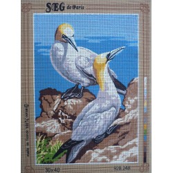 canevas 30x40 marque SEG DE PARIS thème oiseaux FOU DE BASSAN dimension 30 centimètres par 40 centimètres 100 % coton