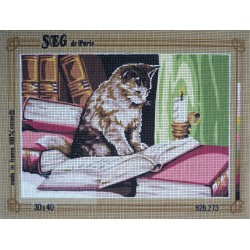 canevas 30x40 marque SEG DE PARIS thème le chat et la lecture dimension 30 centimètres par 40 centimètres 100 % coton