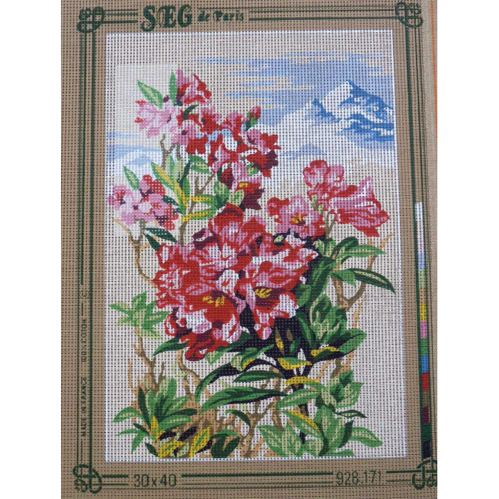canevas 30X40 marque SEG DE PARIS thème fleurs dimennsion 30 centimètres par 40 centimètres 100 % coton