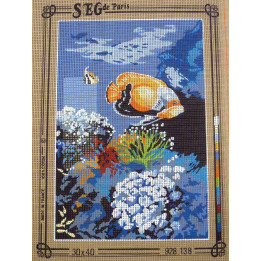 canevas 30X40 marque SEG DE PARIS thème  poissons dimension 30 centimètres par 40 centimètres 100 % coton
