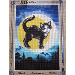 canevas 30X40 marque SEG DE PARIS thème chat noir sur  la lune dimension 30 centimètres par 40 centimètres 100 % coton