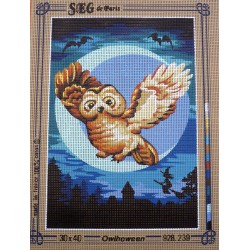 canevas 30X40 marque SEG DE PARIS thème la chouette owlhoween dimension 30 centimètres par 40 centimètres 100 % coton