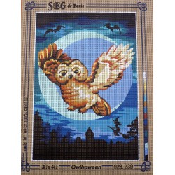 canevas 30X40 marque SEG DE PARIS thème halloween la chouette owlhoween dimension 30 centimètres par 40 centimètres 100 % coton